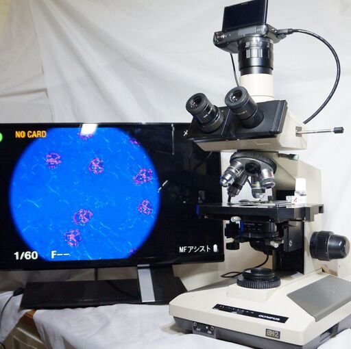 オリンパス 生物顕微鏡（簡易偏光機能） BH-2、ミラーレス・デジカメ ソニーNEX-C3 (ACアダプタ付）＋ 23インチモニタ