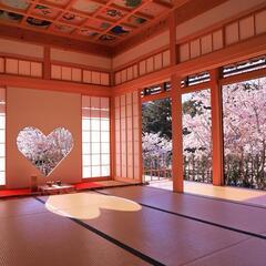 『京都の正寿院へ行きませんか😊』