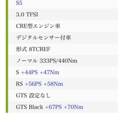 アウディS5 T.M WORKSレースチップ
