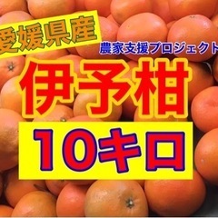【ネット決済・配送可】伊予柑10キロ 〜　配達します！！