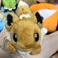 ポケットモンスター　イーブイ　ぬいぐるみ　よりどり2個