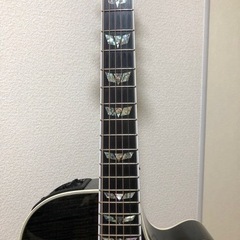 【エレアコ】タカミネ　DMP181AC SBL