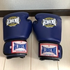 サンドバッグ、グローブ、ヘッドギア