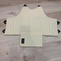 ほぼ新品】日本拳法 防具 胴、グローブ、専用リュック