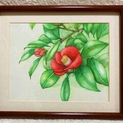 ★冬の花・椿(つばき)の水彩画・80歳のおばあちゃんが趣味で描い...