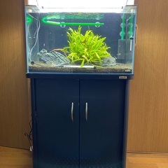 ADA 60cm水槽・ADA LED照明 まとめ売り