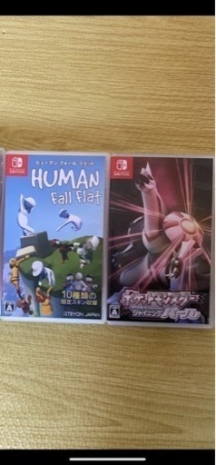 大人気！ヒューマンフォールフラット、ポケモンのセット！