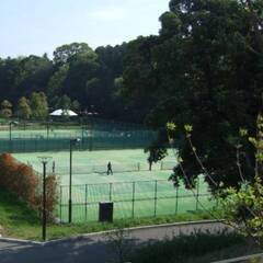 2/8　印西市松山下公園（オムニ）　硬式テニス　11時～15時　4時間　【中級】ダブルスの画像
