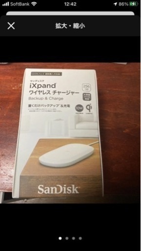 SanDisk SDIZ90N-256G