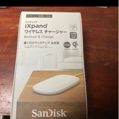 【ネット決済・配送可】SanDisk SDIZ90N-256G