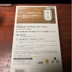 SanDisk SDIZ90N-256G