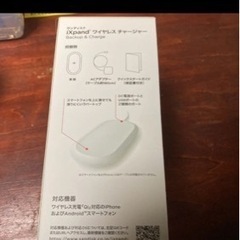 SanDisk SDIZ90N-256G