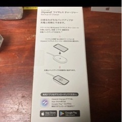 SanDisk SDIZ90N-256G