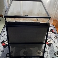 グラステラリウム4545