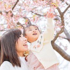 河津桜撮影会のお知らせ − 神奈川県