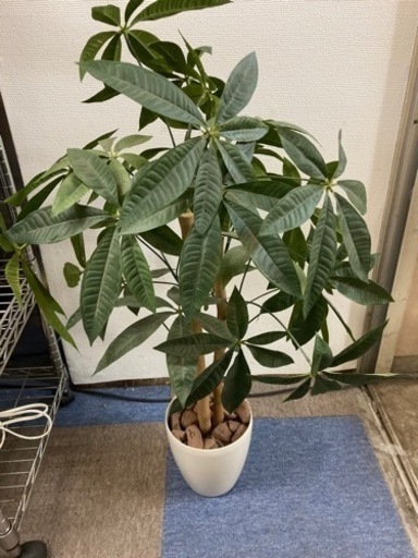 パキラ フェイクグリーン  観葉植物 光触媒