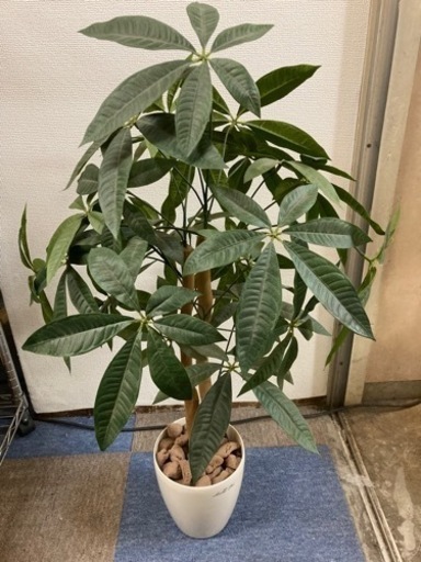 パキラ フェイクグリーン  観葉植物 光触媒