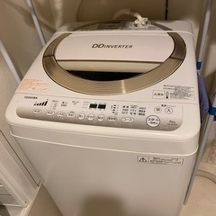 東芝[全自動洗濯機（6kg） グランホワイト]