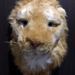 ライオンの顔の飾りもの？