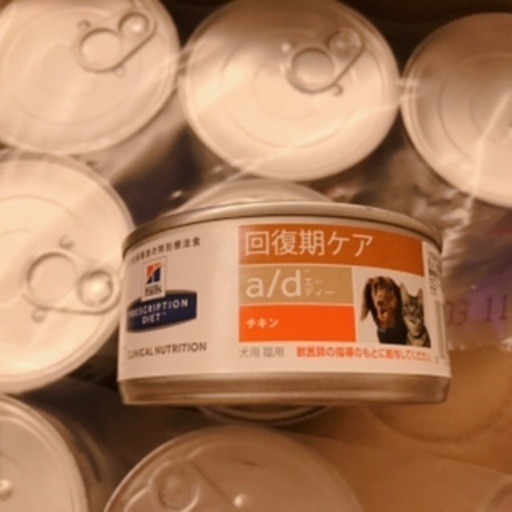 回復期ケア