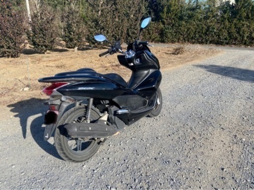 pcx jf28 後期