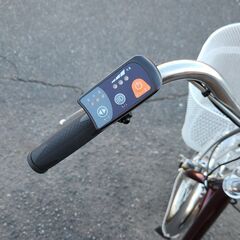 電動アシスト三輪自転車 アシらくチャーリー ノーパンクタイヤ MG-TRM20EBNF ミムゴ