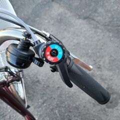 電動アシスト三輪自転車 アシらくチャーリー ノーパンクタイヤ MG-TRM20EBNF ミムゴ