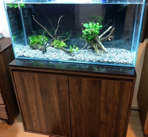 アクアシステムクリスティプレーン90sh 水槽