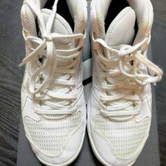 値下げ！asics　バスケットシューズ　22cm