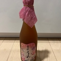 【ネット決済】奥丹波の梅酒