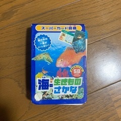 海の生き物図鑑