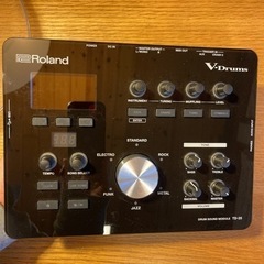 Roland TD-25