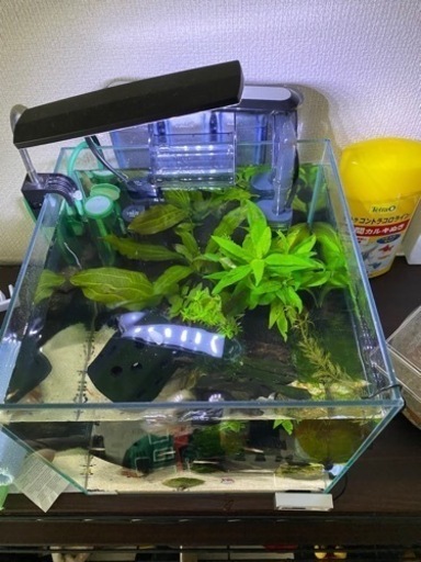 ｇｅｘアクアリスタ３００水槽 サイア 南草津の携帯電話 スマホの中古あげます 譲ります ジモティーで不用品の処分