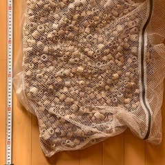 エーハイム2260 ドラム缶　モーター新品交換済み‼️ これ以上は値下げしません‼️