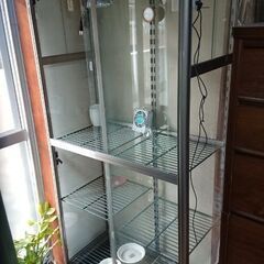 【ネット決済】ピカ　蘭栽培用ガラス温室　