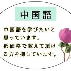 安価で教えて下さる方を探しています。