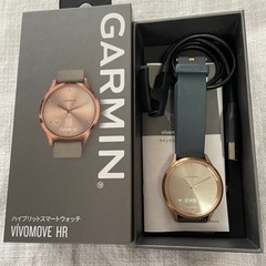 GARMIN VIVOMOVE HR