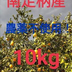 【ネット決済・配送可】南足柄産ミカン混合 ジュース用格安 10kg