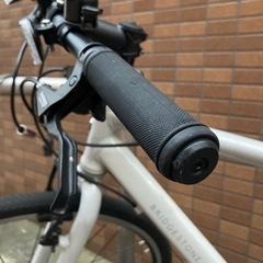 BRIDGESTONE CYLVA F24 (2019年）