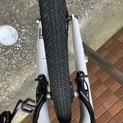 BRIDGESTONE CYLVA F24 (2019年）