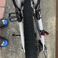 BRIDGESTONE CYLVA F24 (2019年）