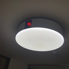 【1月24日まで】ポップインアラジン2   ※取りに来て頂ける方限定