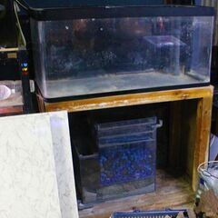 130×60×60 OF水槽セット