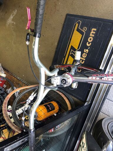 【新古】BMX　FishBone　BIG ASS　フリースタイル 新古】BMX FishBone BIG ASS フリースタイル 【公式通販】