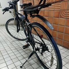 LOUIS GARNEAU RSR-Ⅳ クロスバイク 黒   