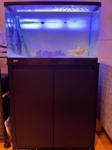 熱帯魚 水槽他フルセット