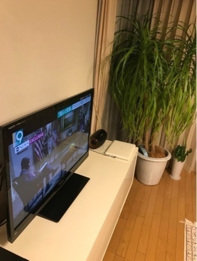 40インチ　テレビ　AQUOS