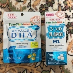 【ネット決済】妊娠期　授乳期用DHAと乳酸菌