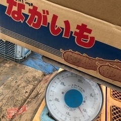 10kg超！ながいも（春）掘り！土付き（キズ・規格外品）サイズ混...