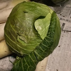 野菜各種安値販売‼️